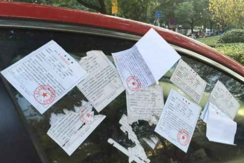 汽车违章套路多少