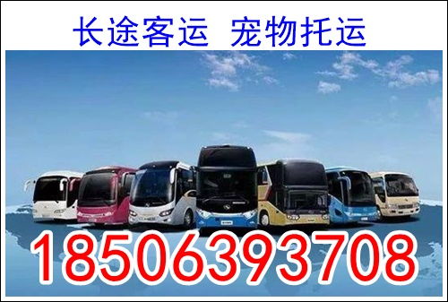 汽车线路多少钱