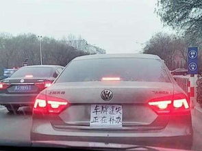 补汽车牌照多少钱