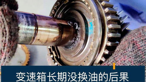 换汽车齿轮油多少钱