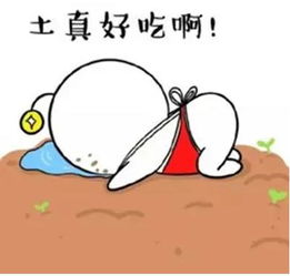 美国一边高调征税一边“卑微求蛋” 美国一边高调征税一边“卑微求蛋”
