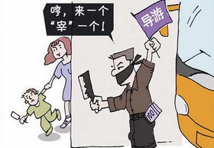 村民向游客要停车费并骂人被罚五千