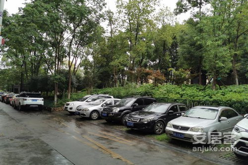 中南汽车世界租金多少