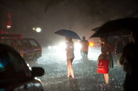 乘客遭遇大暴雨仿佛坐上恐怖公交
