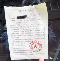 重庆荣昌区委书记:交警不是贴罚单的