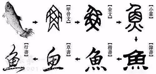 原来小动物就是行走的甲骨文