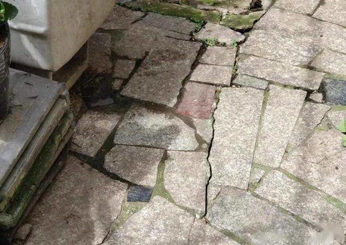 家中藏数百块大石头致墙体开裂?
