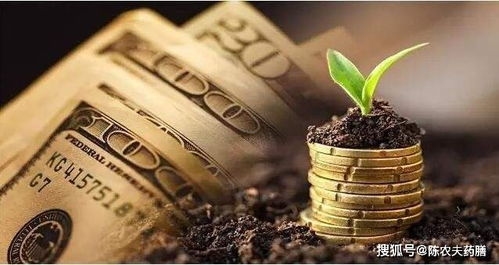 当下金价是否有泡沫 还能追吗？