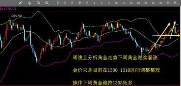 追高金价的年轻人 如何用策略止损？