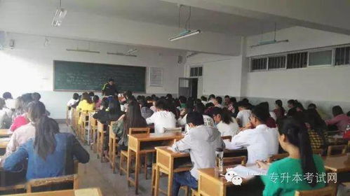 一学院“本升专”引发热议 校方回应