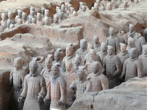 兵在哪马在哪俑在哪导游你在哪