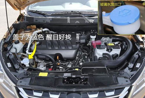 汽车玻璃水要加多少瓶水(汽车玻璃水应该加多少合适)