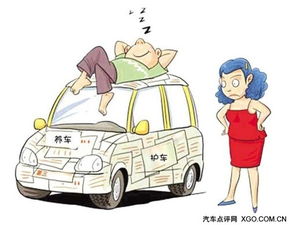 环保汽车保险一年多少钱(环保车的好处和坏处)