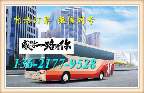郑州到蒙城汽车票多少钱(郑州到蒙城拼车)