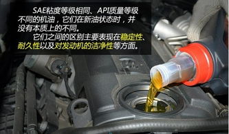 衡水汽车压缩机油多少钱(汽车压缩机机油怎么换)