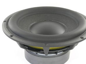 汽车扬声器更换多少钱的(汽车扬声器多少钱一个)