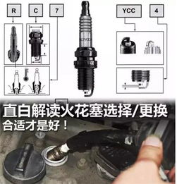 汽车的火花塞是多少钱(汽车的火花塞多少钱丰田RV4)