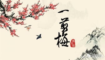 寻觅姻缘是什么样的人(寻求姻缘的隐晦诗句)