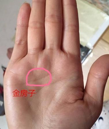 女人姻缘最好的手相图片(女人的姻缘线怎么看)