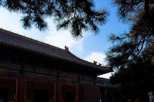 求姻缘去了两个寺庙(求姻缘去了两个寺庙可以吗)