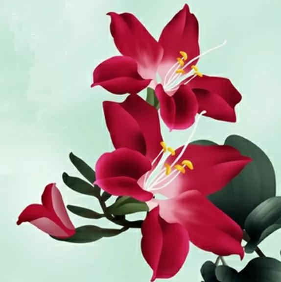 招姻缘的花草有哪些品种(招姻缘的微信头像)