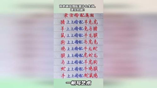姻缘最好的生肖排名表(最佳姻缘有哪几种配)