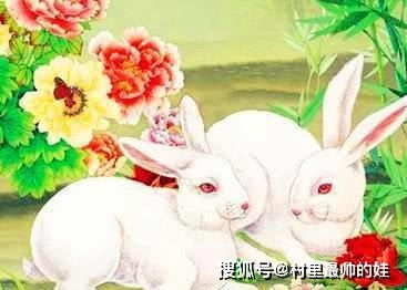 87年兔有几次姻缘呢(87年属兔的姻缘)