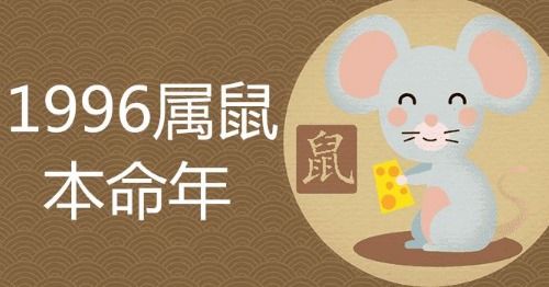 96年鼠今年姻缘如何呢(96年属鼠的婚姻情况预算一下)