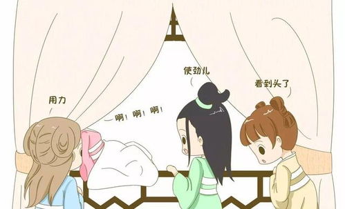 重阳节出生的男孩姻缘(重阳节出生的男孩命运婚姻)