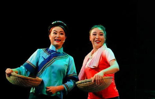 贵港市壮剧啼笑姻缘3(啼笑姻缘丁桂宏)