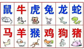 生肖测姻缘配对表准吗(生肖测姻缘配对表准吗女)
