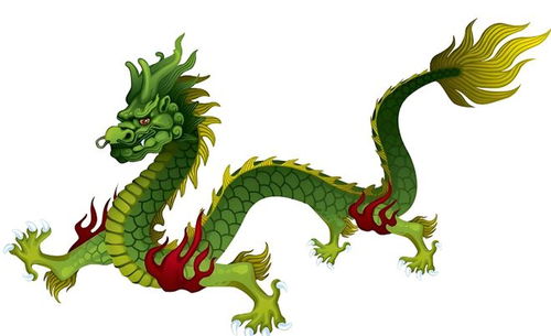 属猪人配属龙人姻缘如何(属猪的属龙婚配怎么样)