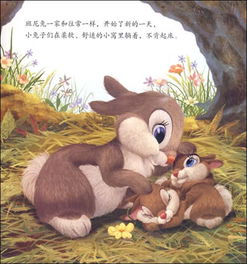 生肖兔和生肖鸡的姻缘(生肖兔和鸡的婚姻怎样)