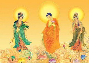 牧羊女与佛陀的姻缘(供养佛陀的牧羊女成佛了吗)