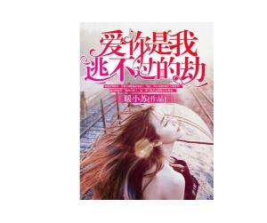 我的姻缘你是劫小说(我的姻缘你是劫小说百度云)