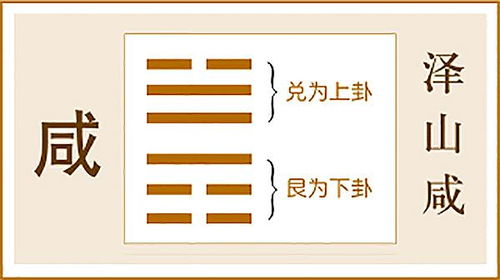 泽山咸泽风大过姻缘(泽山咸卦姻缘)