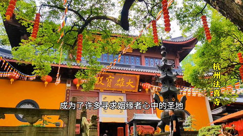 杭州法喜寺姻缘哪个殿(杭州法喜寺在哪里求签)
