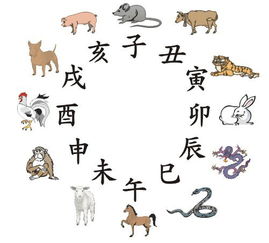 属虎女生坤卦详解姻缘(属虎女生坤卦详解姻缘图)