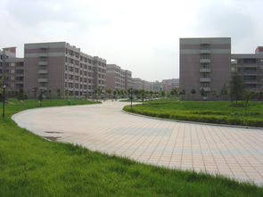 西南科技大学姻缘楼(西南某科技大学)