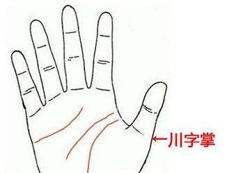 手上的姻缘线怎么看(手掌姻缘线怎么看)