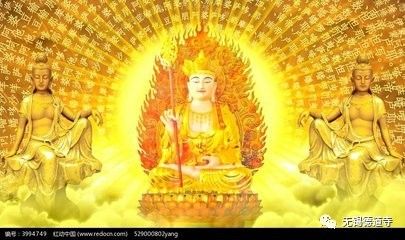 求姻缘该拜什么佛最好(求姻缘应该拜哪个)