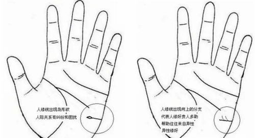 手相姻缘线短代表什么女(手上的姻缘线)