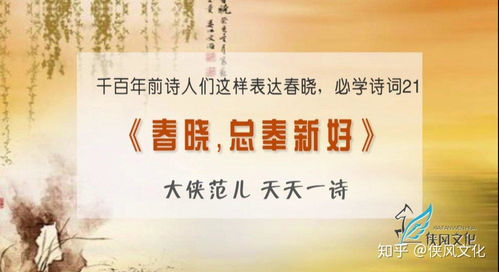 前世奠基好的姻缘啥意思(前世根基是啥)