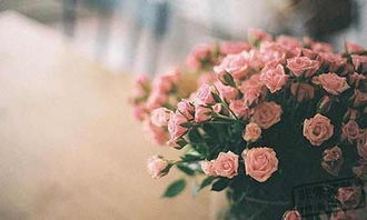 旺桃花不旺姻缘会怎样(桃花不旺指什么样的人)