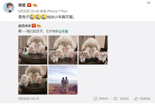 生日能不能求婚姻缘(生日可以提起过或者延迟过吗?