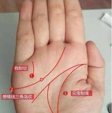 有姻缘的手相图片大全(有姻缘的手相图片大全女)
