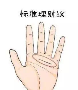 手纹姻缘线是哪根啊(手的姻缘线是哪一个)