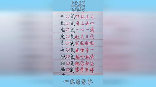 十二生肖姻缘相配表查询(十二生肖对配对姻缘)