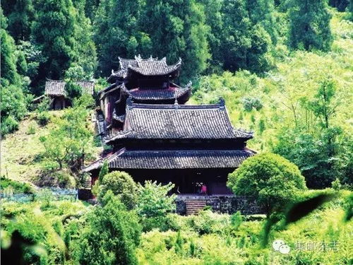 寒山寺算姻缘准不准(去寒山寺求姻缘一般多久会实现)