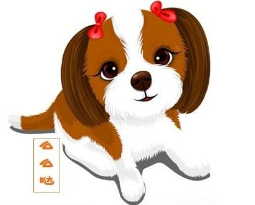 属狗和兔的姻缘如何啊(属狗和属兔的婚姻)